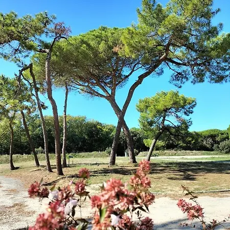Les Salines Oleron Apartment Saint-Pierre-d'Oleron Exterior photo