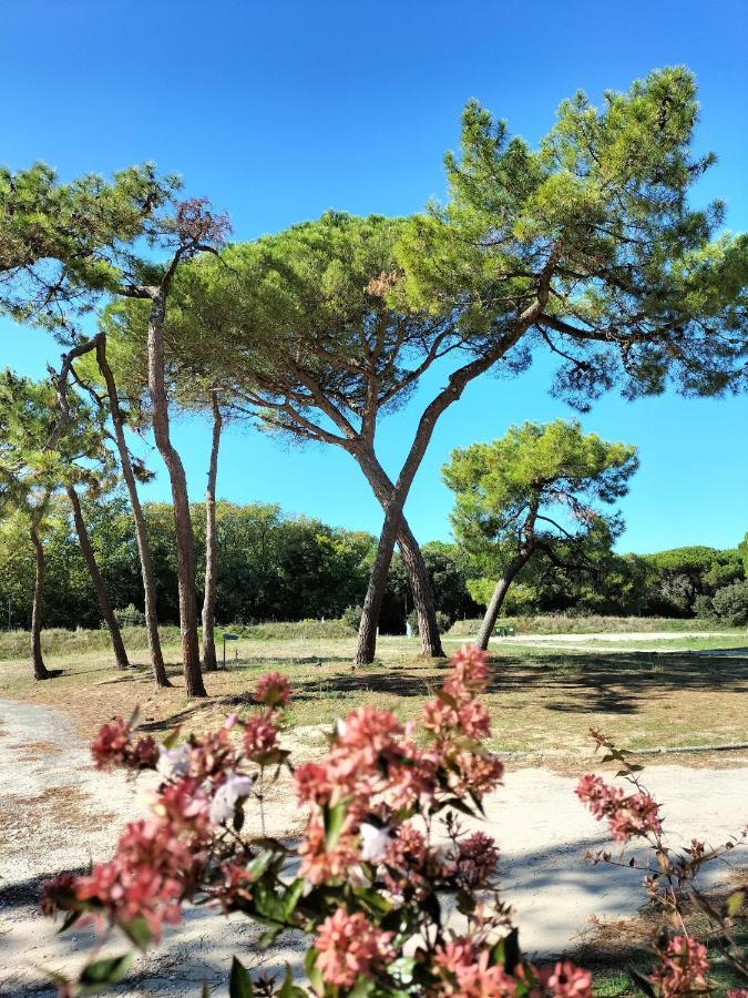 Appartement Les Salines Oléron Saint-Pierre-d'Oleron