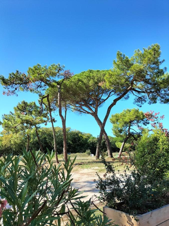Les Salines Oléron Appartement